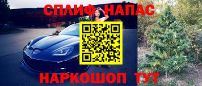 эйфоретик Тула